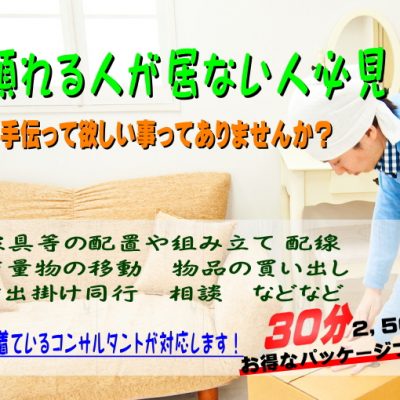 猫の手サポートプラン